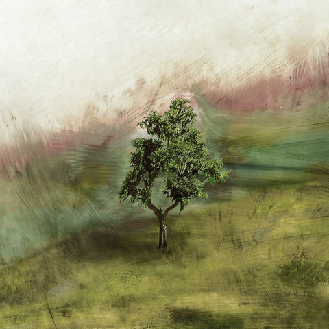 Lone Oak Black Modern Wood Framed Art Print by Mabat, Ynon