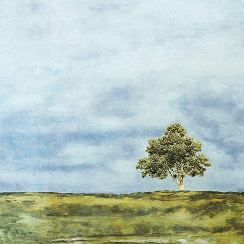 Summer Oak Black Modern Wood Framed Art Print by Mabat, Ynon