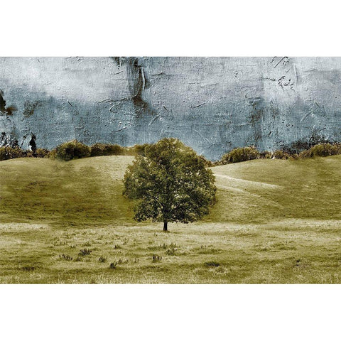 Tree in the Valley Black Modern Wood Framed Art Print with Double Matting by Mabat, Ynon