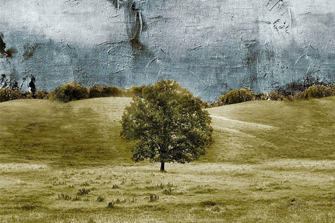 Tree in the Valley White Modern Wood Framed Art Print with Double Matting by Mabat, Ynon