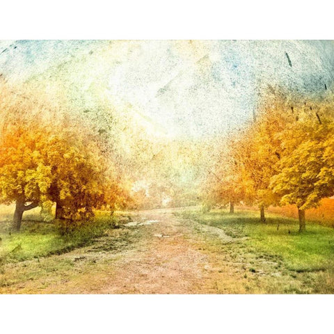 Oak Path Black Modern Wood Framed Art Print by Mabat, Ynon