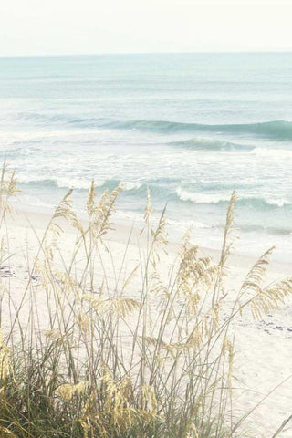 Beach Days White Modern Wood Framed Art Print with Double Matting by Peck, Gail