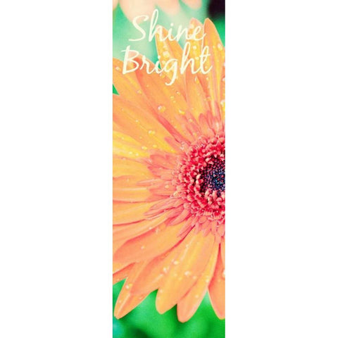 Shine Bright Daisy White Modern Wood Framed Art Print by Bryant, Susan