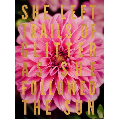 Glittery Flower I Black Modern Wood Framed Art Print with Double Matting by Bryant, Susan