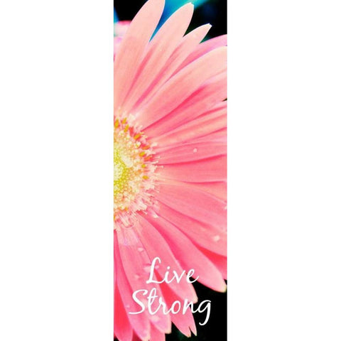 Live Strong Daisy Black Modern Wood Framed Art Print with Double Matting by Bryant, Susan