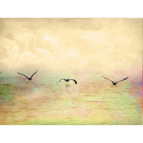 Seagulls in the Sky I Black Modern Wood Framed Art Print by Mabat, Ynon