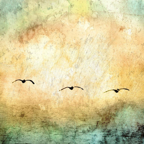 Seagulls in the Sky Square III Gold Ornate Wood Framed Art Print with Double Matting by Mabat, Ynon