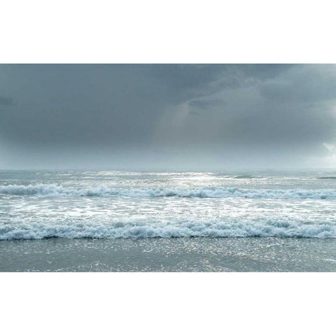 Daytona Storm I Gold Ornate Wood Framed Art Print with Double Matting by Nawrocke, Bruce