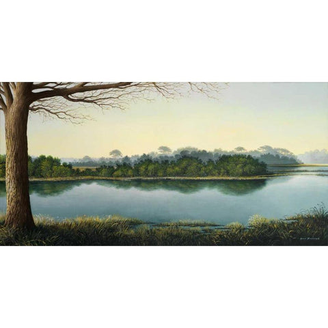 Peaceful Afternoon Black Modern Wood Framed Art Print by Nawrocke, Bruce