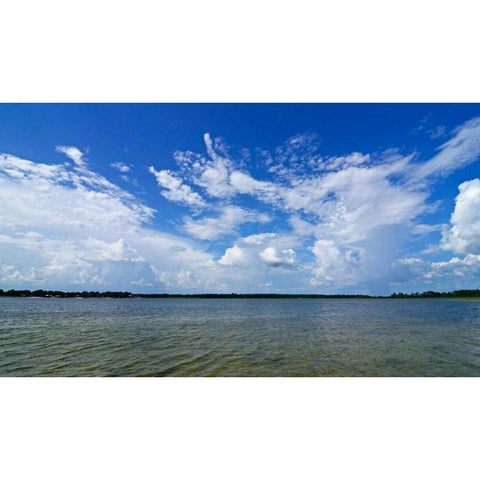 Beautiful Waters Black Modern Wood Framed Art Print by Nawrocke, Bruce