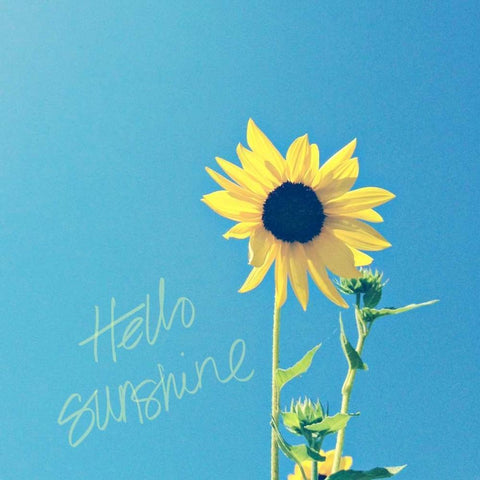 Hello Sunshine Gold Ornate Wood Framed Art Print with Double Matting by Saghini, Lisa Hill