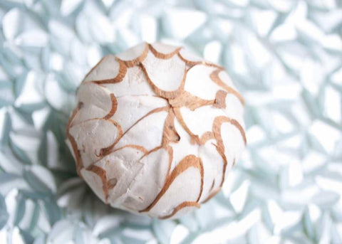 Shimmer Shells I White Modern Wood Framed Art Print with Double Matting by Bryant, Susan