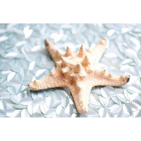 Shimmer Shells II White Modern Wood Framed Art Print by Bryant, Susan