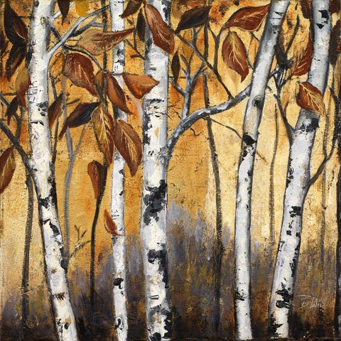 Birchwood Trees on Gold I Black Modern Wood Framed Art Print with Double Matting by Pinto, Patricia