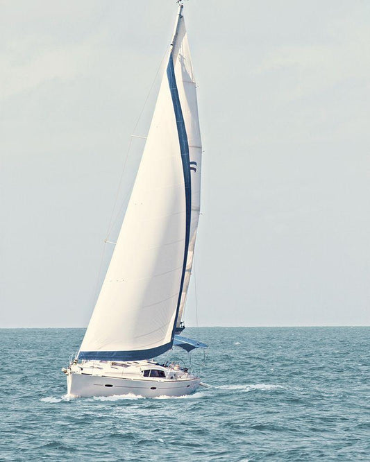 Image Only