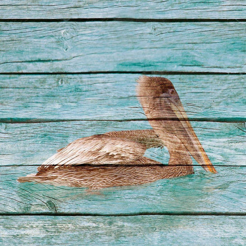 Wood Pelican II Black Modern Wood Framed Art Print with Double Matting by Mansfield, Kathy