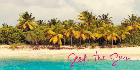 Seek The Sun Black Ornate Wood Framed Art Print with Double Matting by Mansfield, Kathy