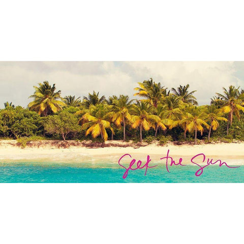 Seek The Sun Black Modern Wood Framed Art Print by Mansfield, Kathy