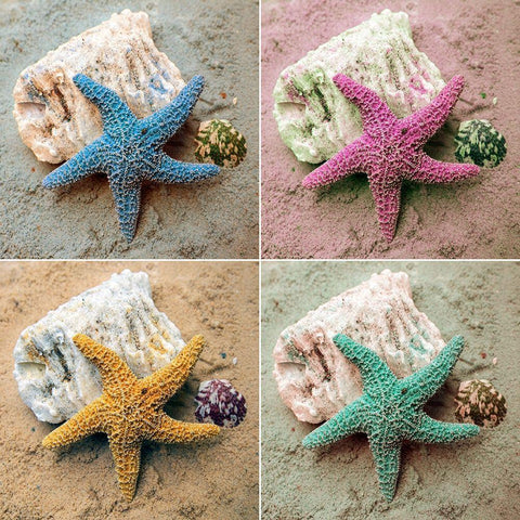 Colorful Starfish White Modern Wood Framed Art Print with Double Matting by Mansfield, Kathy