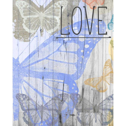 Butterfly Garden Love Black Modern Wood Framed Art Print with Double Matting by Meneely, Dan