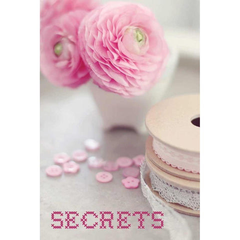 Secrets Black Modern Wood Framed Art Print by Gardner, Sarah