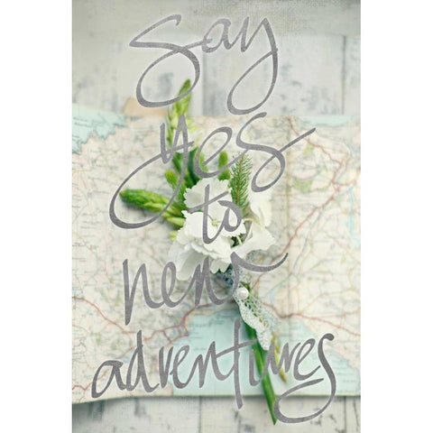 Say Yes To New Adventures (silver) Gold Ornate Wood Framed Art Print with Double Matting by Gardner, Sarah