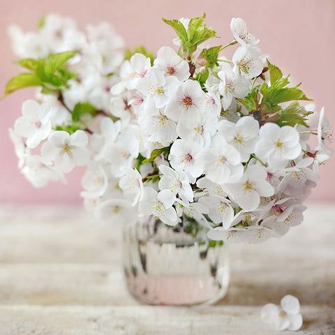 A Beautiful Start Black Ornate Wood Framed Art Print with Double Matting by Gardner, Sarah