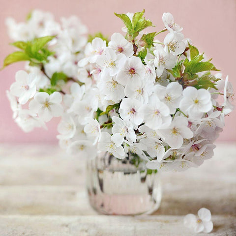 A Beautiful Start Black Modern Wood Framed Art Print with Double Matting by Gardner, Sarah