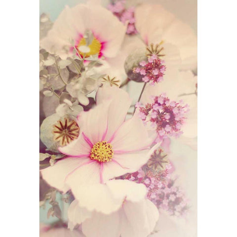 Pink Blossoms II White Modern Wood Framed Art Print by Gardner, Sarah