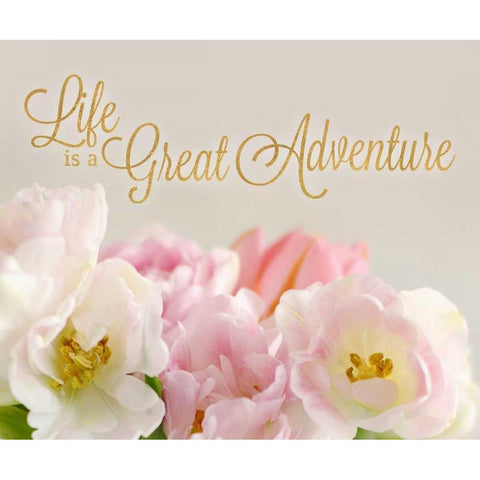 Life is a Great Adventure Black Modern Wood Framed Art Print with Double Matting by Gardner, Sarah