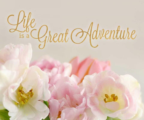 Life is a Great Adventure White Modern Wood Framed Art Print with Double Matting by Gardner, Sarah