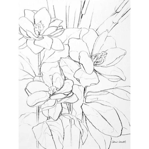 Floral Sketch I White Modern Wood Framed Art Print by Loreth, Lanie