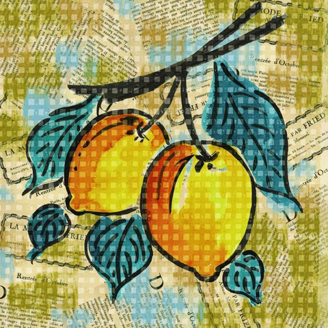Fashion Fruit II Black Modern Wood Framed Art Print with Double Matting by Biscardi, Nicholas