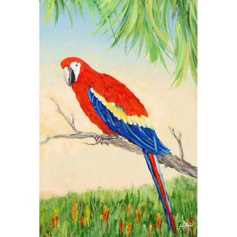 Tropic Bird in Paradise I Black Modern Wood Framed Art Print with Double Matting by DeRice, Julie