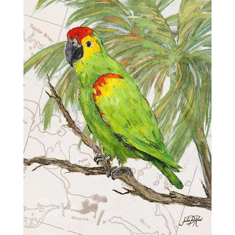 Another Bird in Paradise II Black Modern Wood Framed Art Print by DeRice, Julie