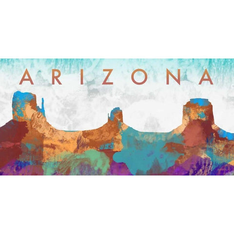 Arizona Black Modern Wood Framed Art Print with Double Matting by Meneely, Dan