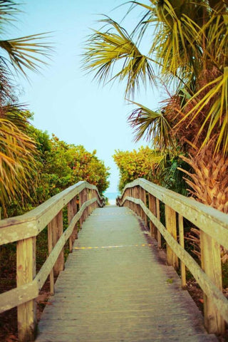 Palm Walkway I Black Ornate Wood Framed Art Print with Double Matting by Bryant, Susan