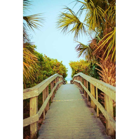Palm Walkway I Black Modern Wood Framed Art Print by Bryant, Susan