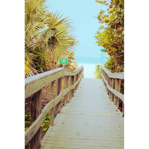 Palm Walkway II Black Modern Wood Framed Art Print with Double Matting by Bryant, Susan