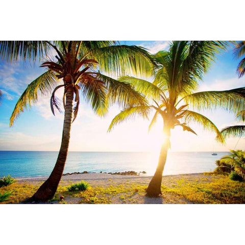 New Bimini Black Modern Wood Framed Art Print with Double Matting by Bryant, Susan