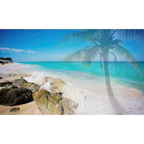 Palm By The Rocks Black Modern Wood Framed Art Print by Bryant, Susan