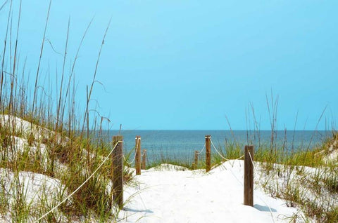 White Sandy Beach I Black Ornate Wood Framed Art Print with Double Matting by Peck, Gail
