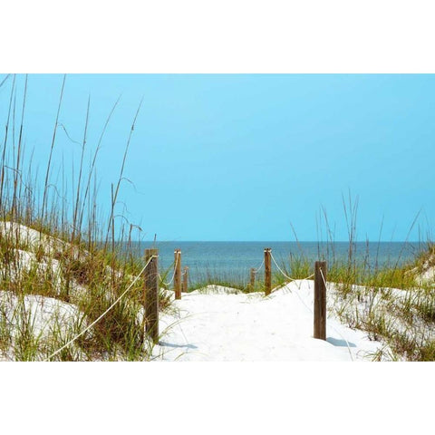 White Sandy Beach I White Modern Wood Framed Art Print by Peck, Gail