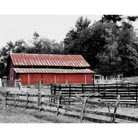 BW Rustic Barn Gold Ornate Wood Framed Art Print with Double Matting by Peck, Gail