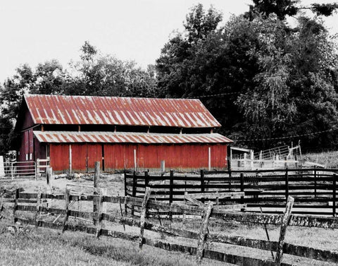 BW Rustic Barn White Modern Wood Framed Art Print with Double Matting by Peck, Gail