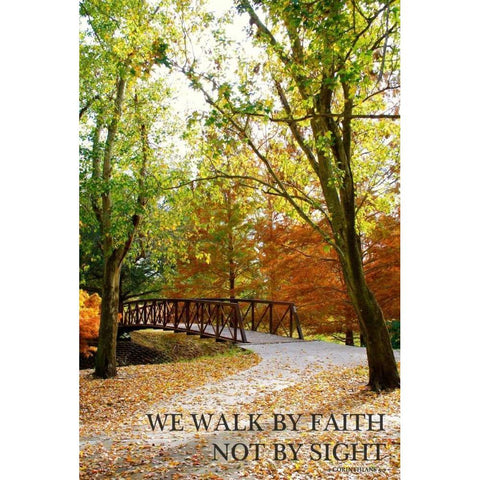 We Walk by Faith White Modern Wood Framed Art Print by Peck, Gail