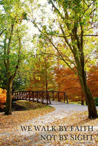 We Walk by Faith Black Ornate Wood Framed Art Print with Double Matting by Peck, Gail