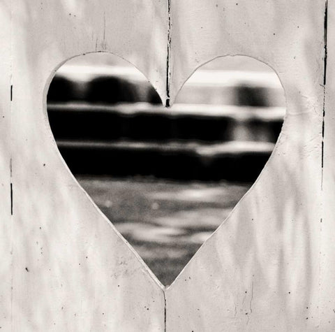 Whole Hearted Fence White Modern Wood Framed Art Print with Double Matting by Peck, Gail
