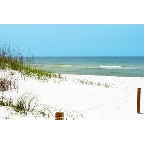 White Sandy Beach II Gold Ornate Wood Framed Art Print with Double Matting by Peck, Gail