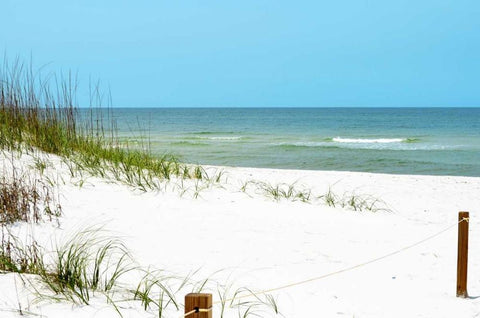 White Sandy Beach II Black Ornate Wood Framed Art Print with Double Matting by Peck, Gail